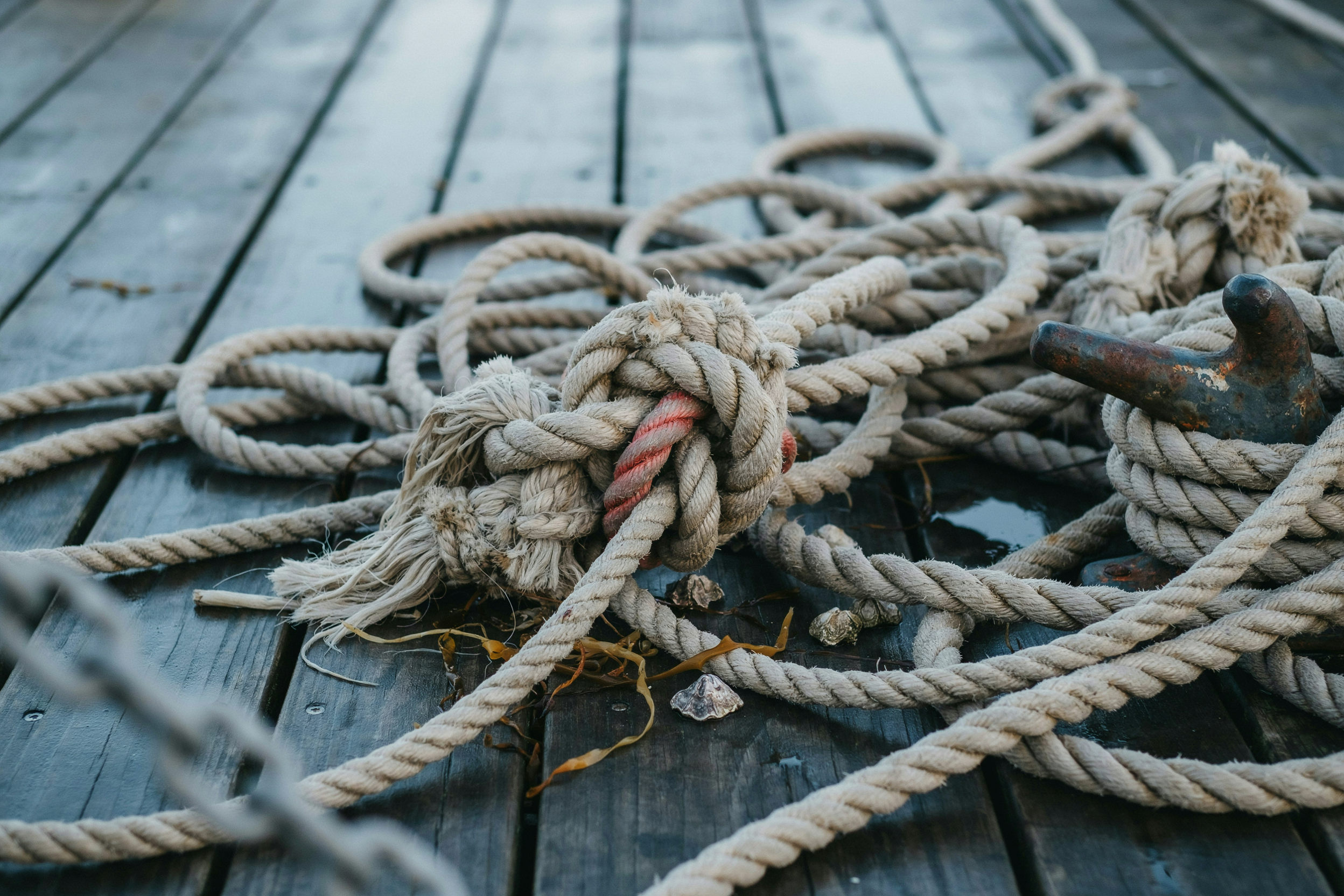 A tangle of mooring ropes, the open loops a founder carries at once