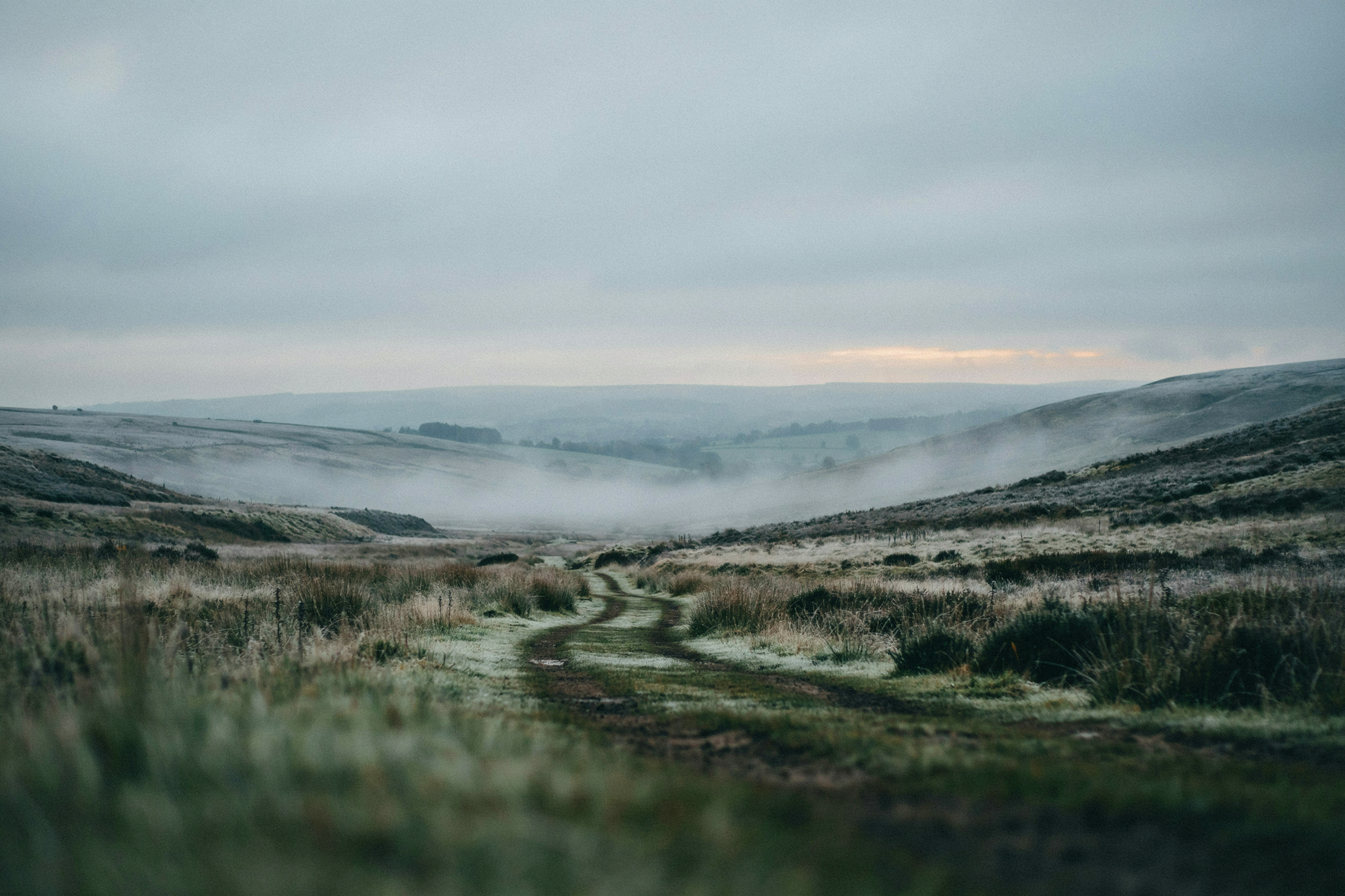 Mist lifting from a valley to reveal one path, clarity after the fog