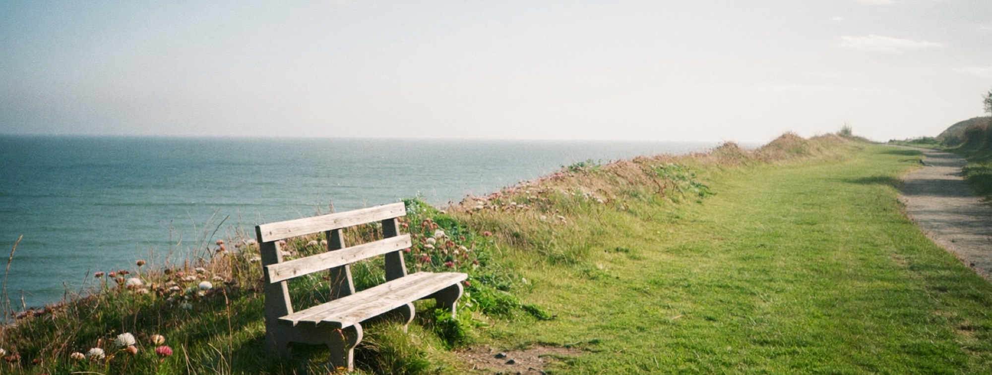 A coastal path with an empty bench, the space that work life balance examples are meant to protect