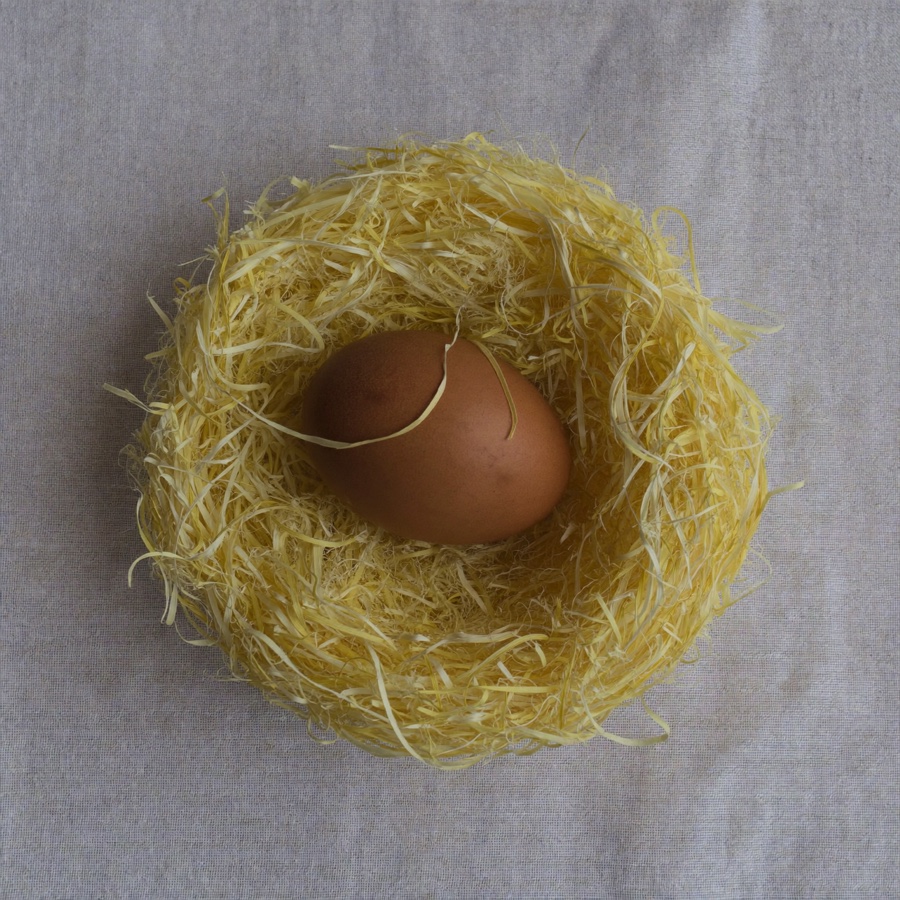 A single brown egg resting in a small straw nest