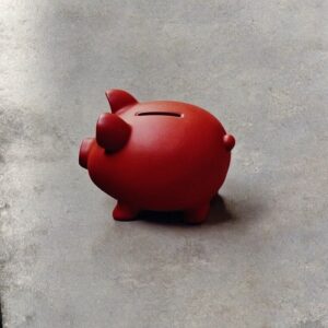 A cast-iron piggy bank, savings with an insurance policy wrapped around it