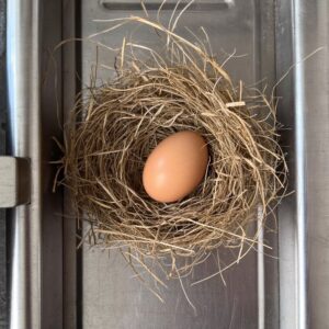 A brown egg in a straw nest on brushed steel