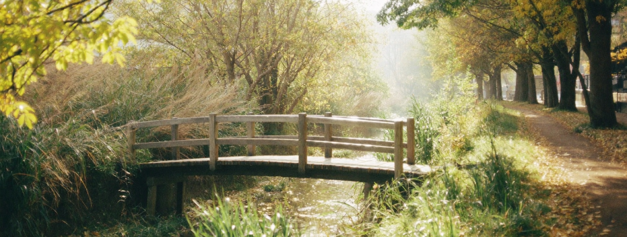 A riverside path near the city, the kind of place a lunchtime walk resets a day