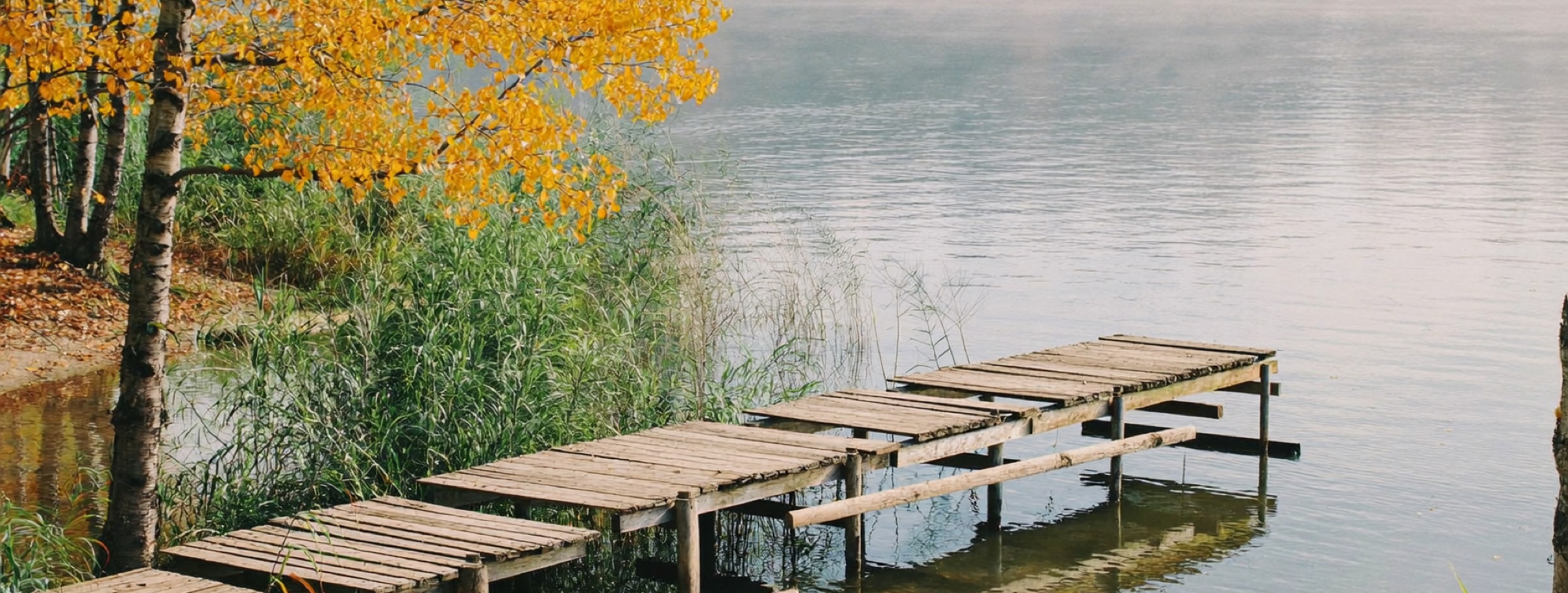A timber jetty on a still lake, the kind of unhurried place that suits the early weeks of recovery