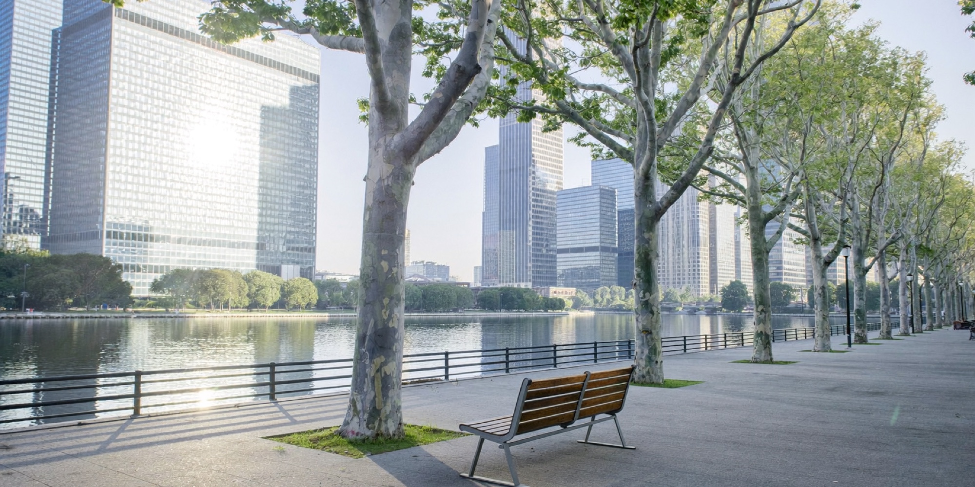 Morning light on a riverside promenade, the cheapest tool for shifting your body clock