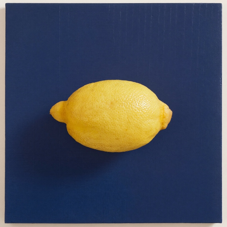 A single lemon, sharp and plain, like a good final edit