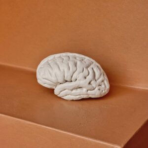 Psychology Books Worth an Executive’s Time, and the Chapters to Read With Care