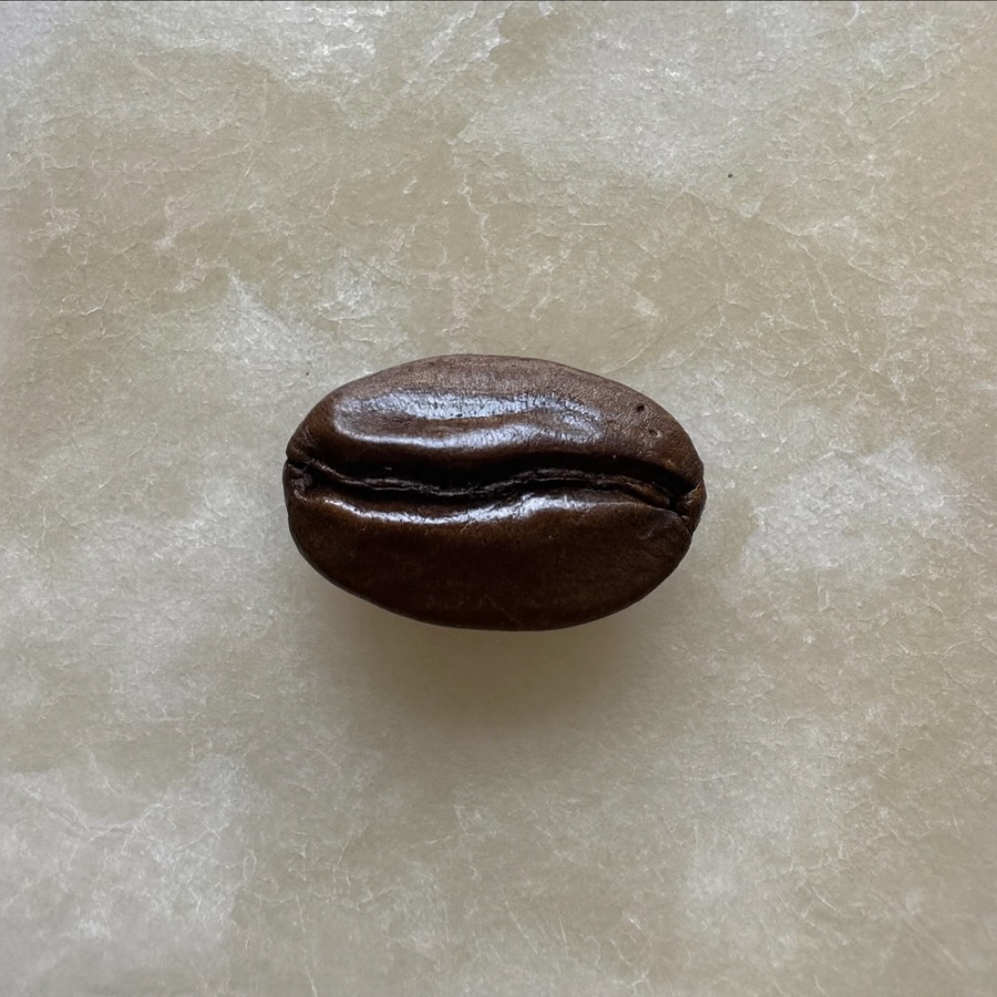 A single coffee bean on marble, for an article on caffeine and anxiety